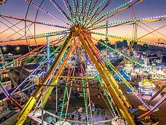 fair sex
